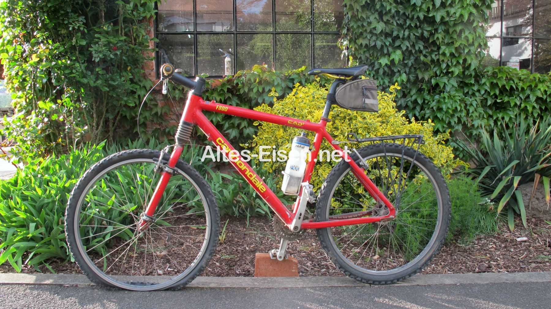 Read more about the article Cannondale
